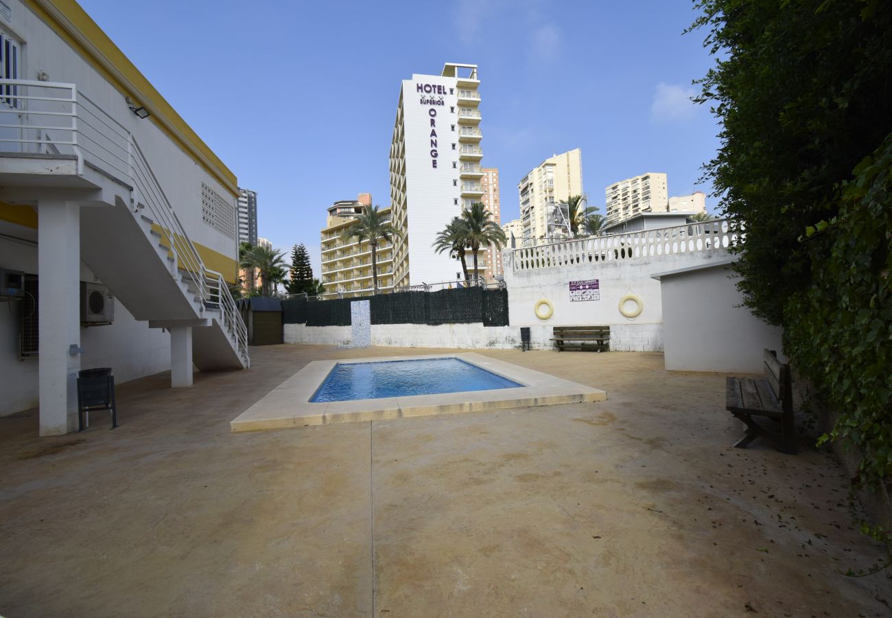 Apartamento en Benidorm - COMERCIAL LEPANTO 1-15