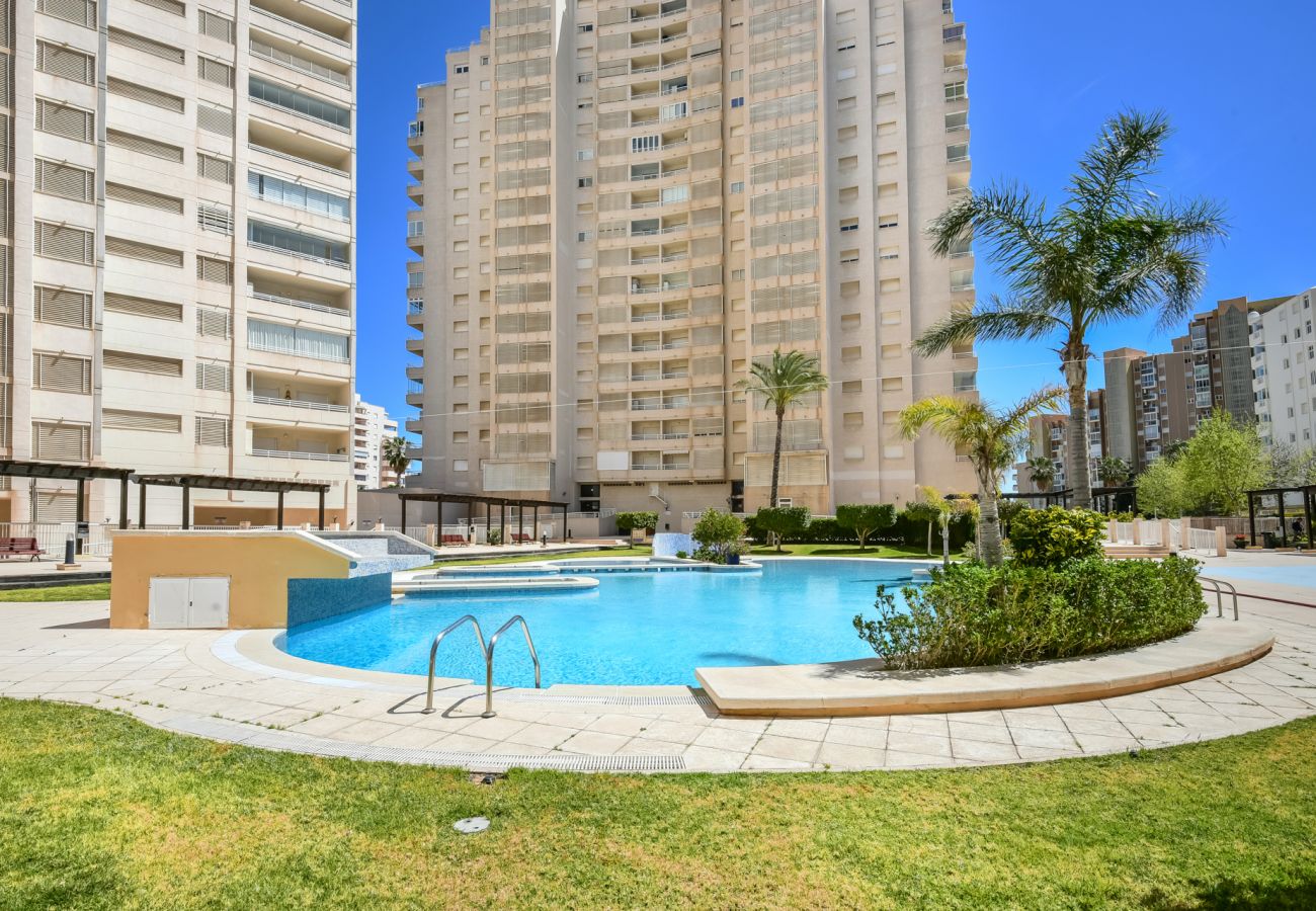 Apartamento en Calpe - Apolo XVI 2-3-14,La Fossa