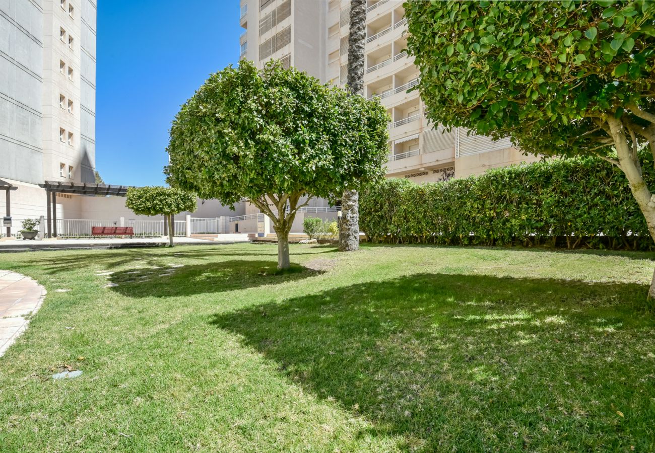 Apartamento en Calpe - Apolo XVII 1-13-39,La Fossa