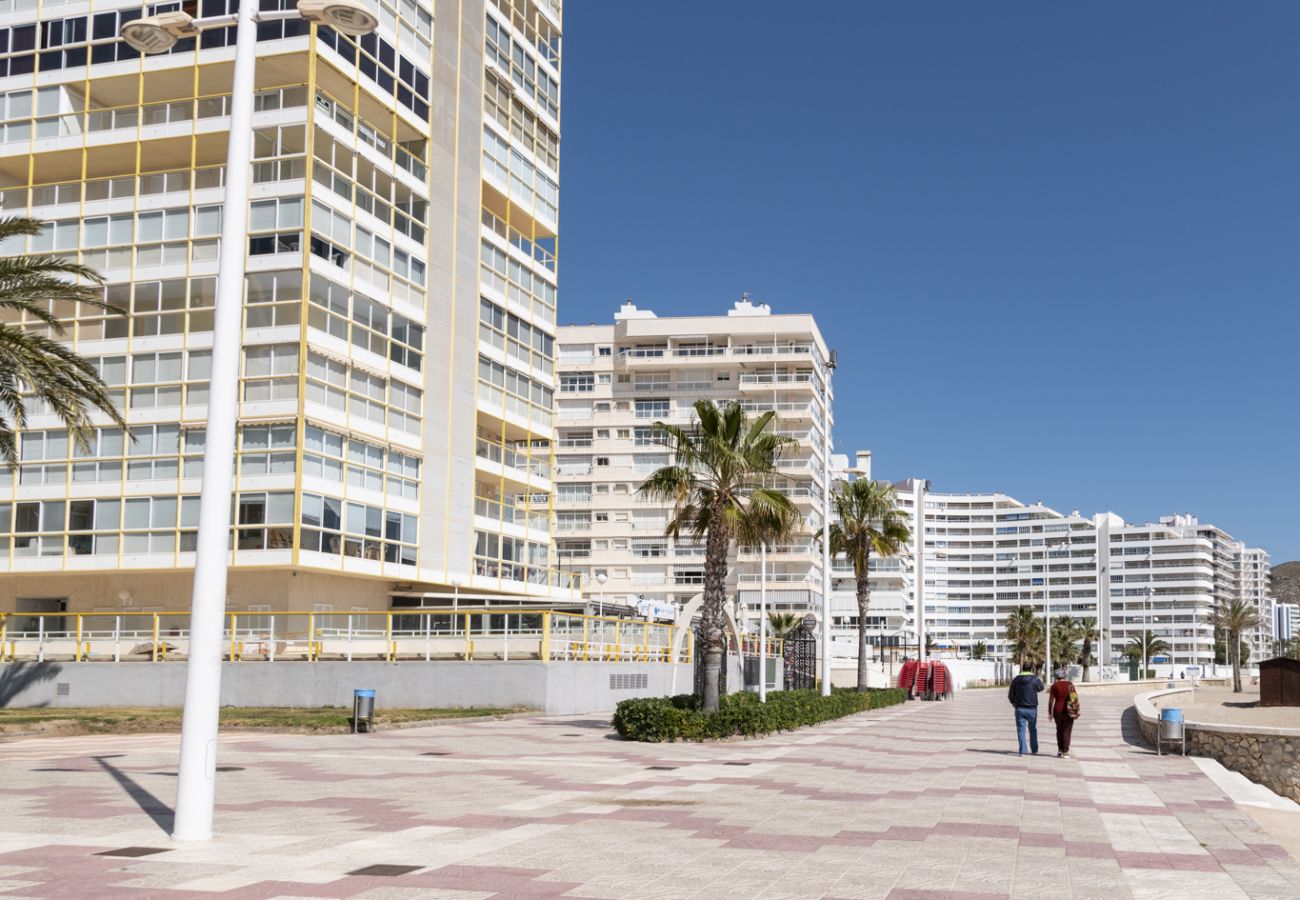 Apartamento en Cullera - FLORAZAR 3, 8º-B