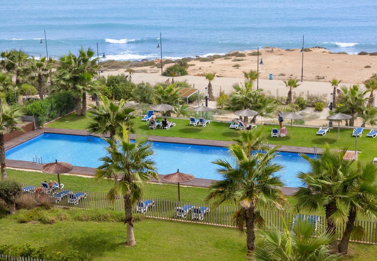 Apartamento en Torrevieja - Fidalsa Paradise Sea Punta Prima