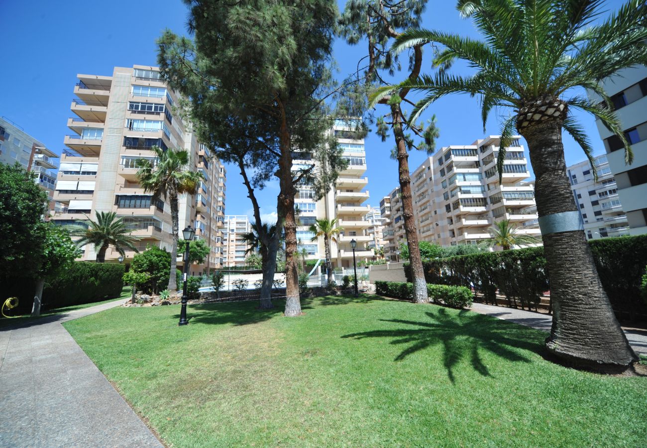 Apartamento en Benicàssim - MADEIRA 2-7-F