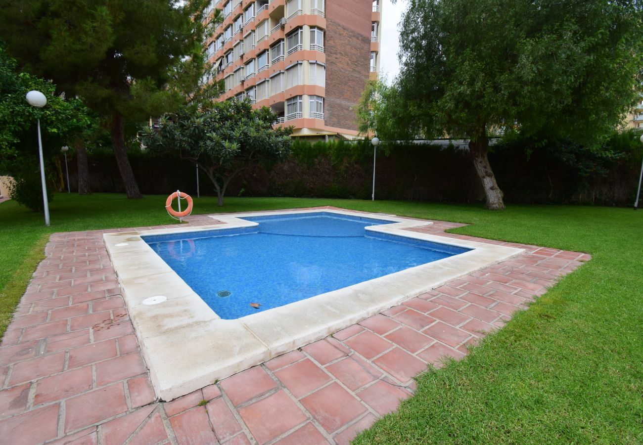 Apartamento en Benidorm - GEMELOS 4 3C1