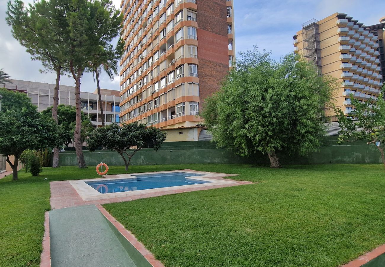 Apartamento en Benidorm - GEMELOS 4 3C1