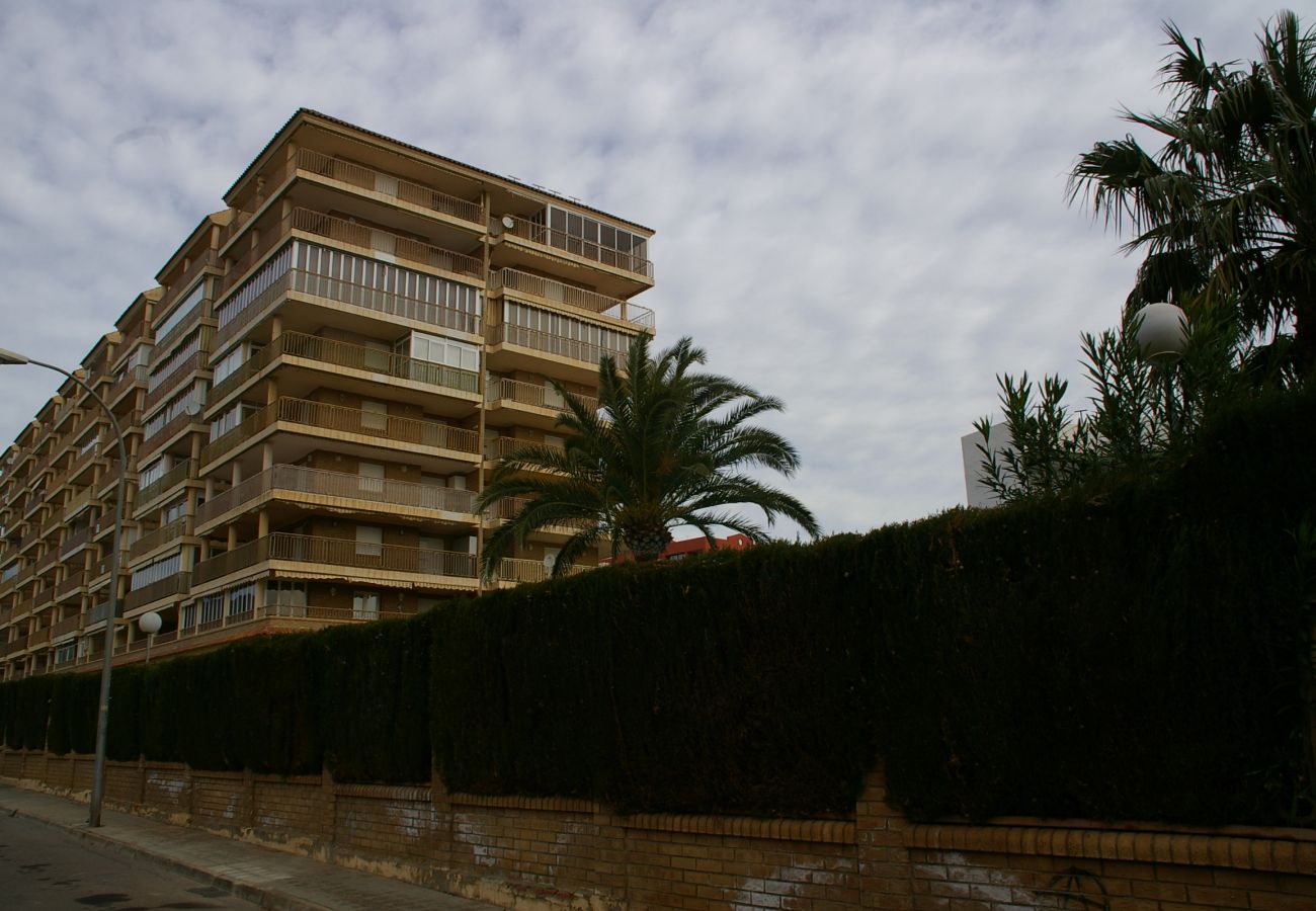 Apartamento en Benicàssim - COSTA BRASIL II-8-1