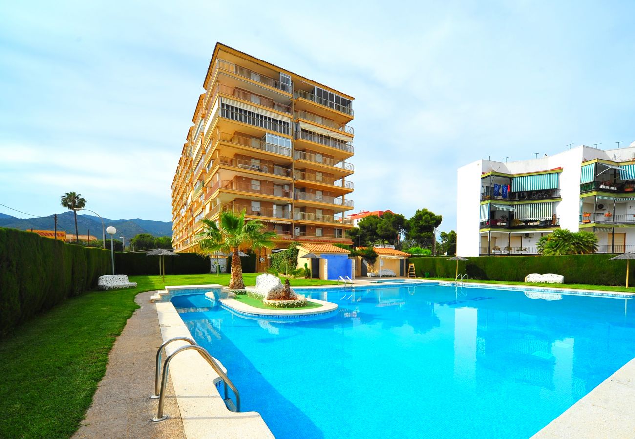 Apartamento en Benicàssim - COSTA BRASIL II-8-1