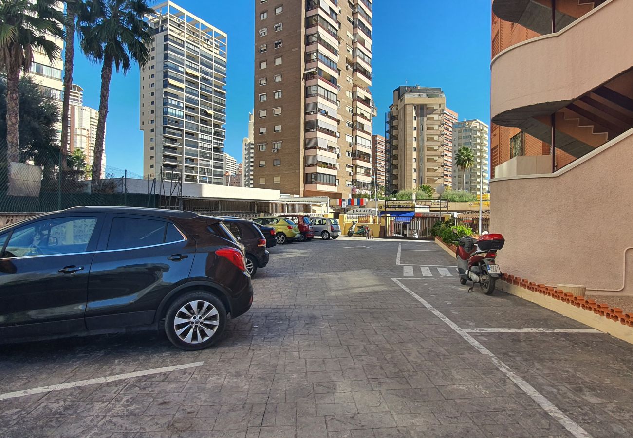 Apartamento en Benidorm - ADELFAS 10D