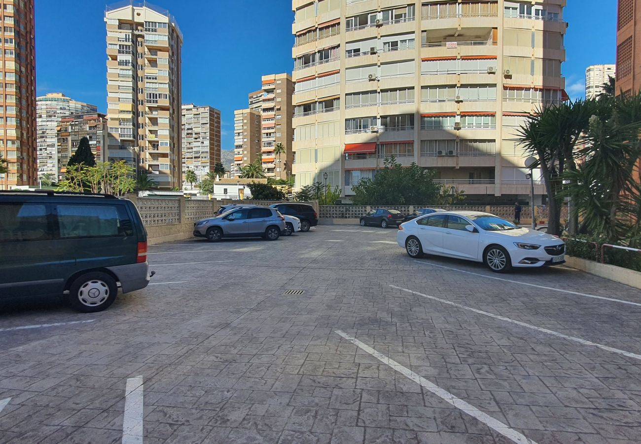 Apartamento en Benidorm - ADELFAS 10D