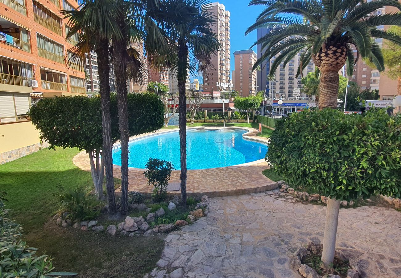 Apartamento en Benidorm - ADELFAS 10D