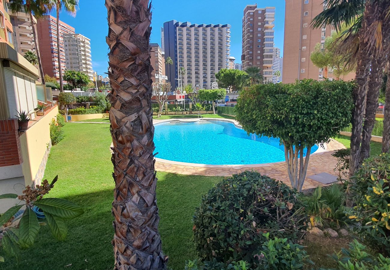 Apartamento en Benidorm - ADELFAS 10D