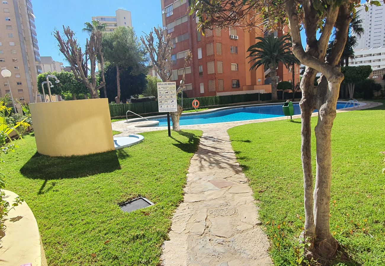 Apartamento en Benidorm - ADELFAS 10D