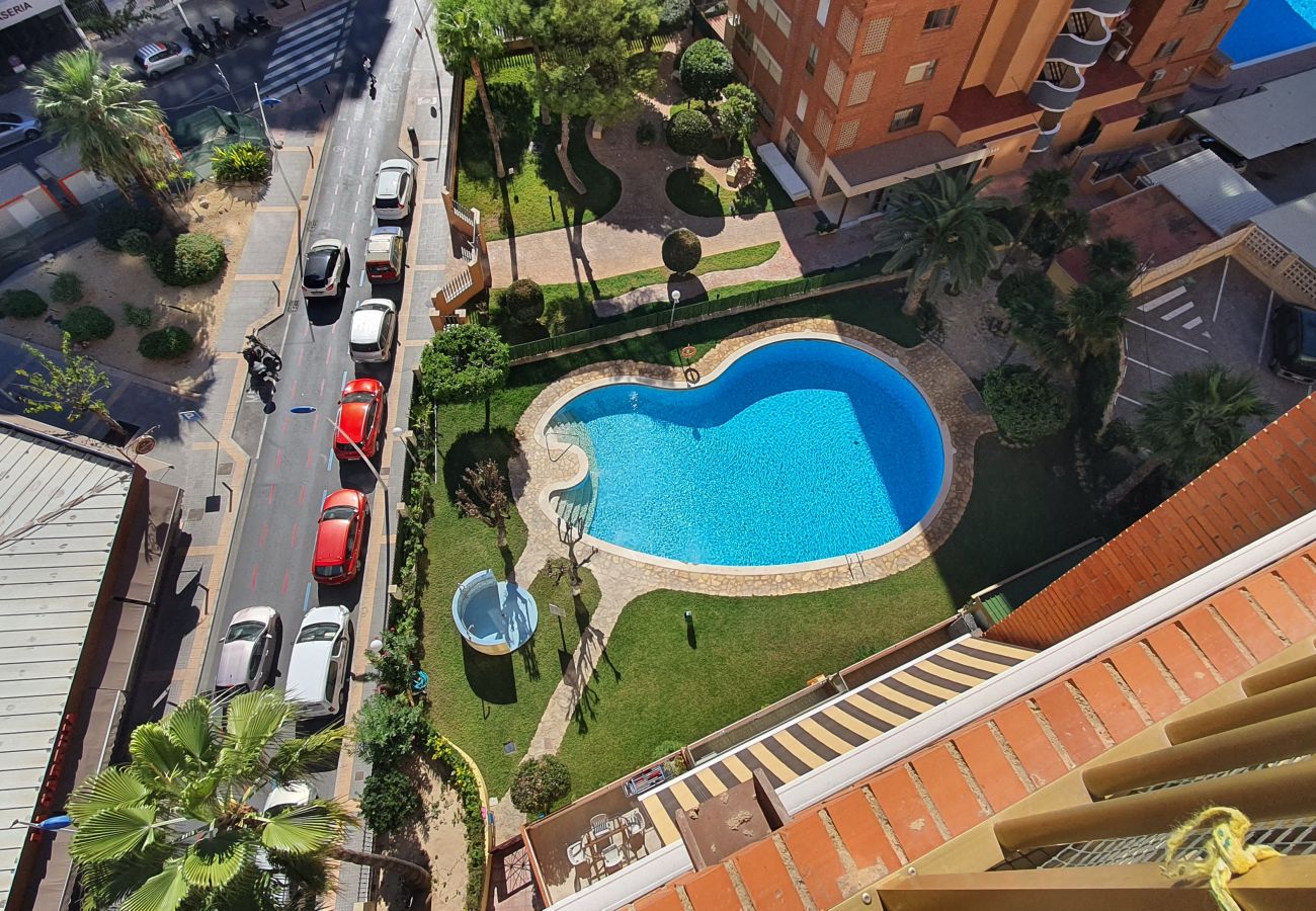 Apartamento en Benidorm - ADELFAS 10D