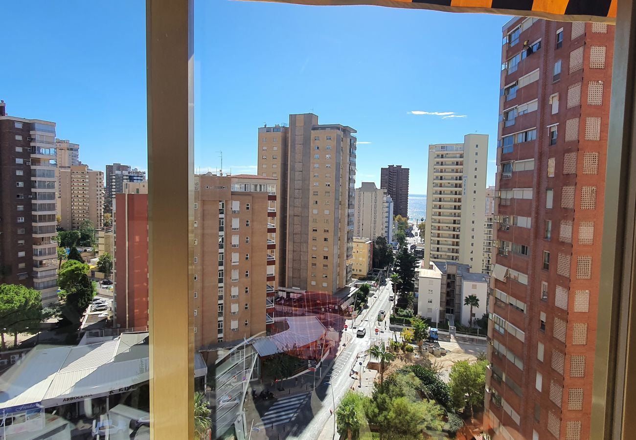 Apartamento en Benidorm - ADELFAS 10D