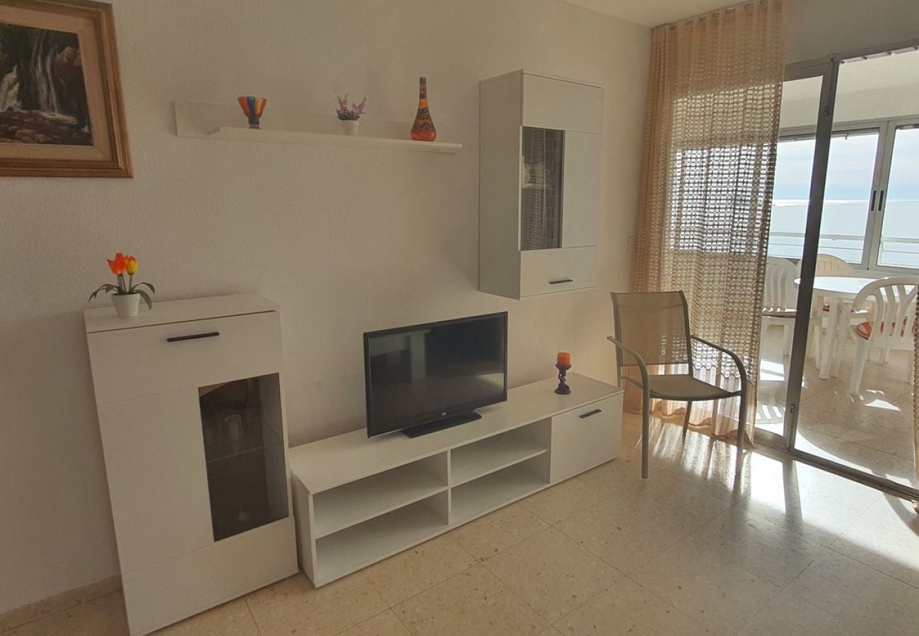 Apartamento en Benidorm - COBLANCA 20 13-3