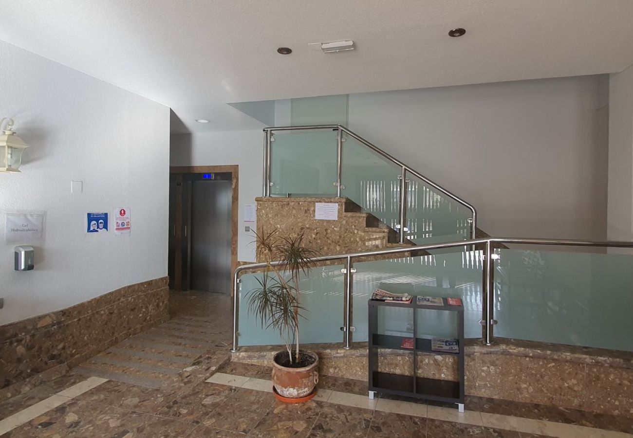 Apartamento en Benidorm - COBLANCA 20 13-3