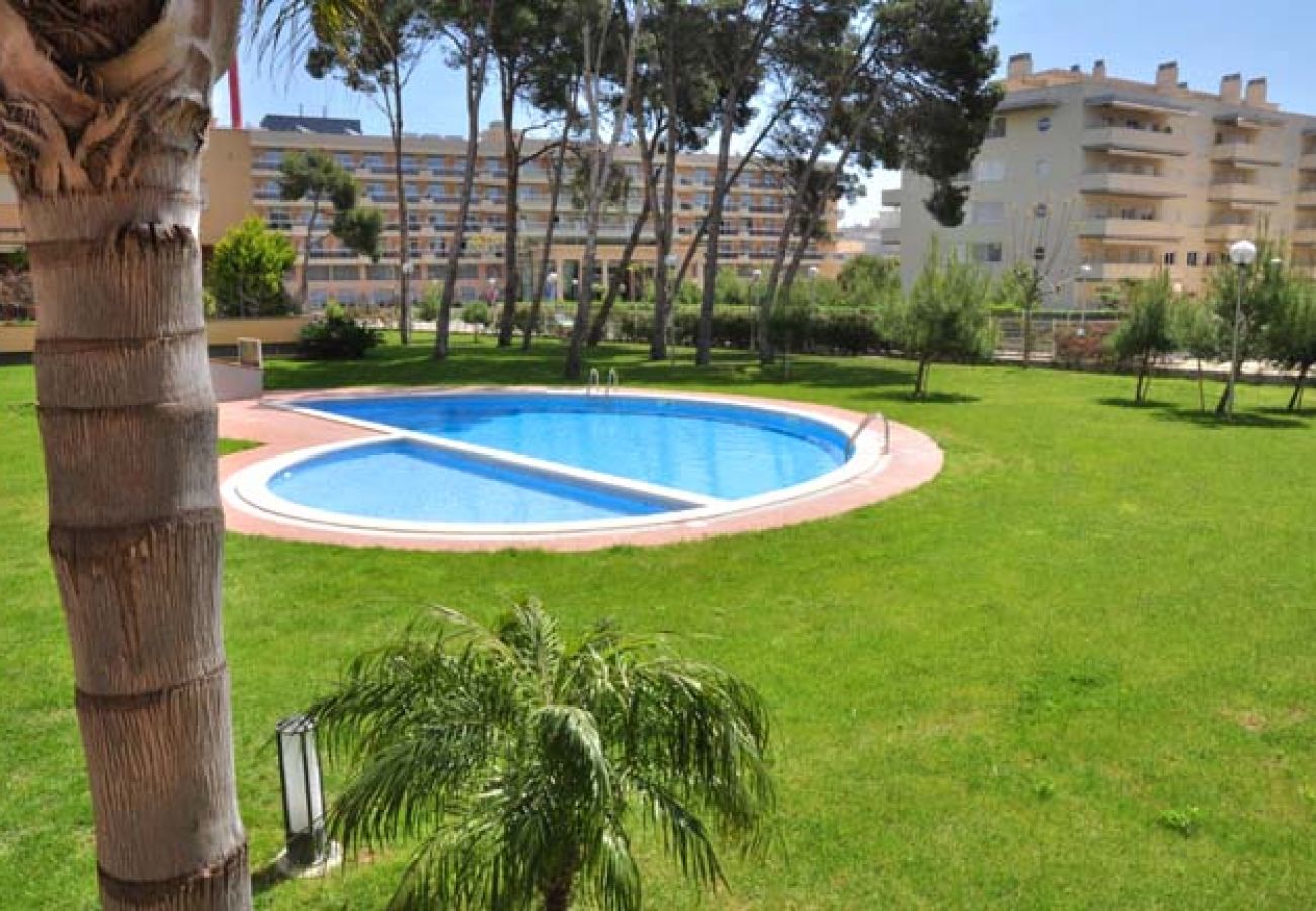 Apartamento en La Pineda - GOLDEN PINEDA C 4 A