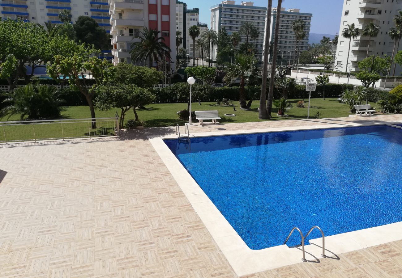 Apartamento en Playa de Gandía - 1.Don Ximo 1º pta 1 (garaje 61)