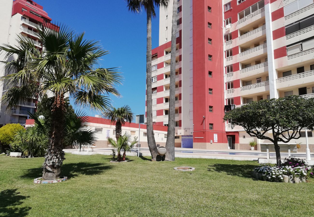 Apartamento en Playa de Gandía - 1.Don Ximo 1º pta 1 (garaje 61)