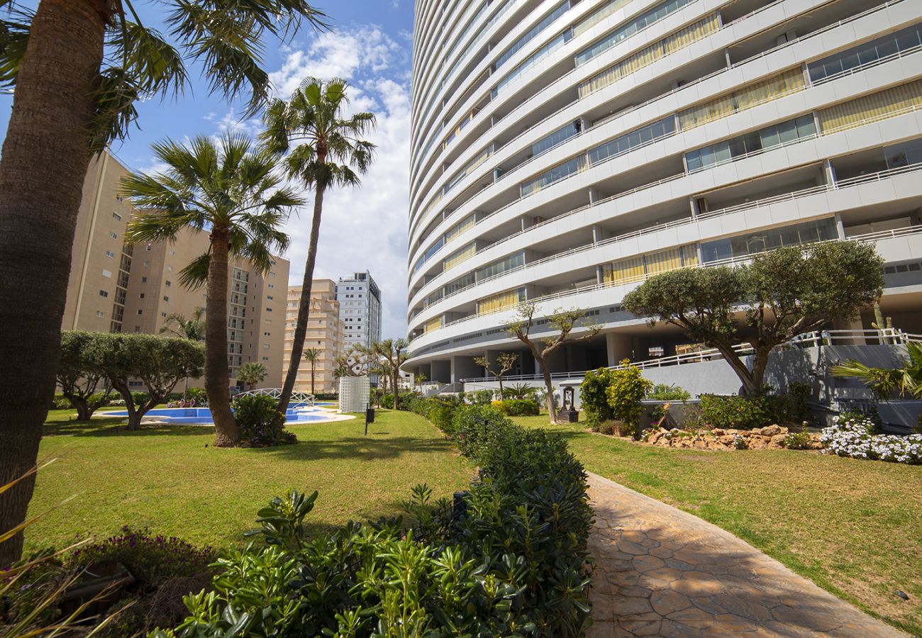 Apartamento en Calpe - Apolo XIV 15 132,Arenal -Bol