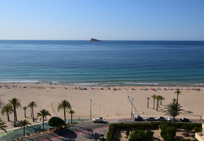 Benidorm - Apartamento