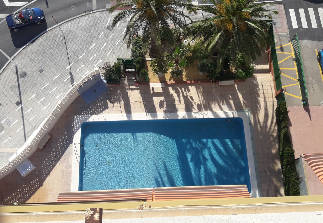 Apartamento en Benidorm - PRINCIPADO MARINA 9D