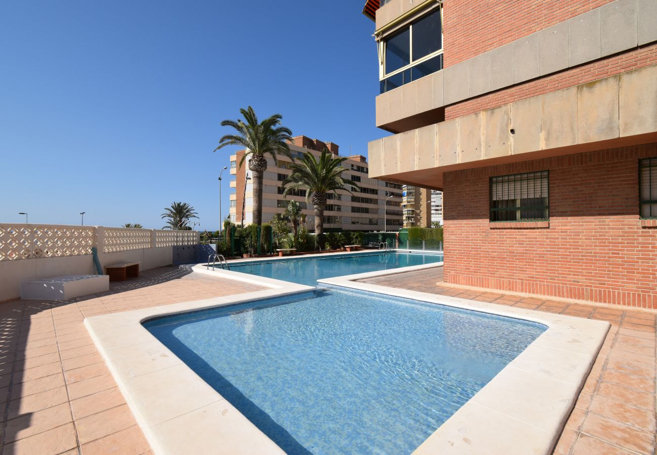 Apartamento en Benidorm - PRINCIPADO MARINA 9D