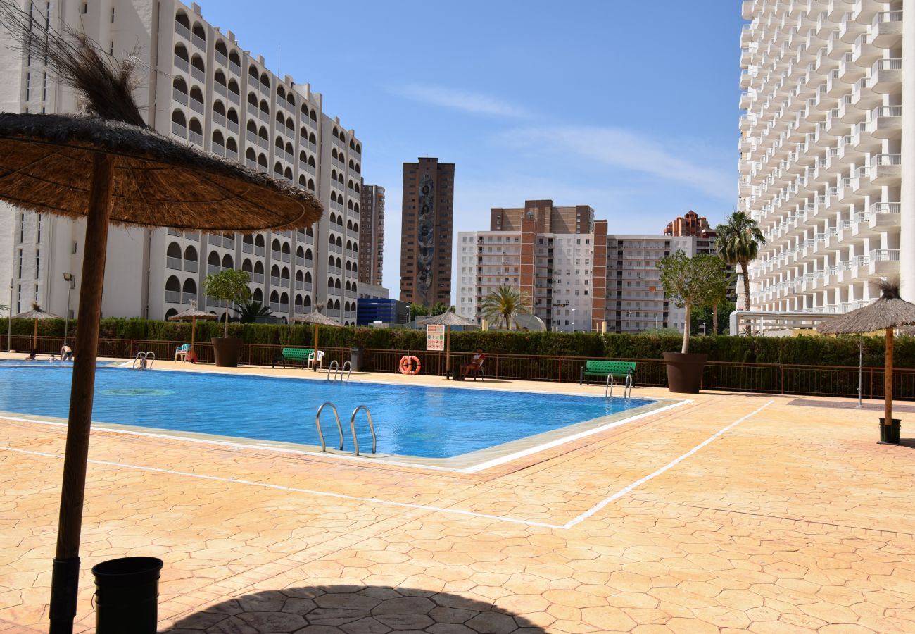 Estudio en Benidorm - ACUARIUM 3 2F (ESTUDIO)