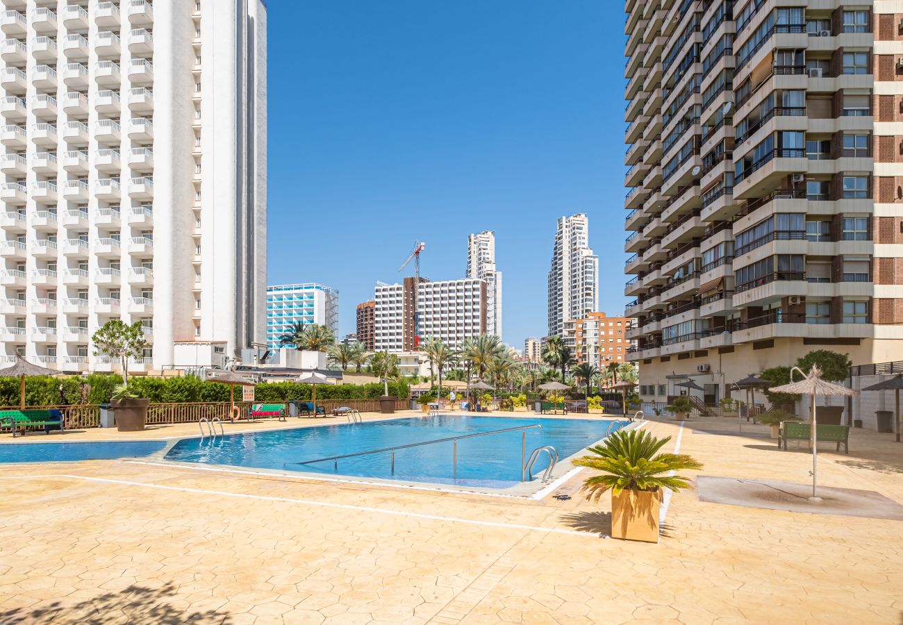 Estudio en Benidorm - ACUARIUM 3 2F (ESTUDIO)