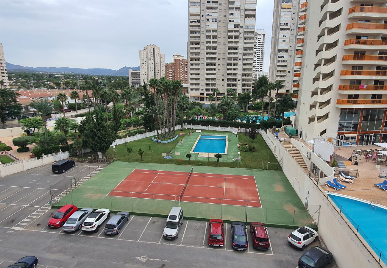 Apartamento en Benidorm - MARISCAL 3 4J (2 DORMITORIOS)