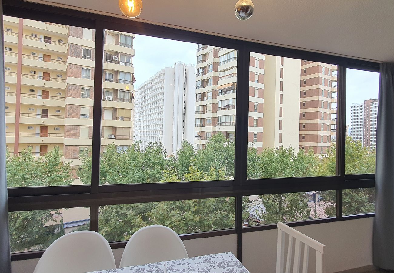 Apartamento en Benidorm - MARISCAL 3 4J (2 DORMITORIOS)