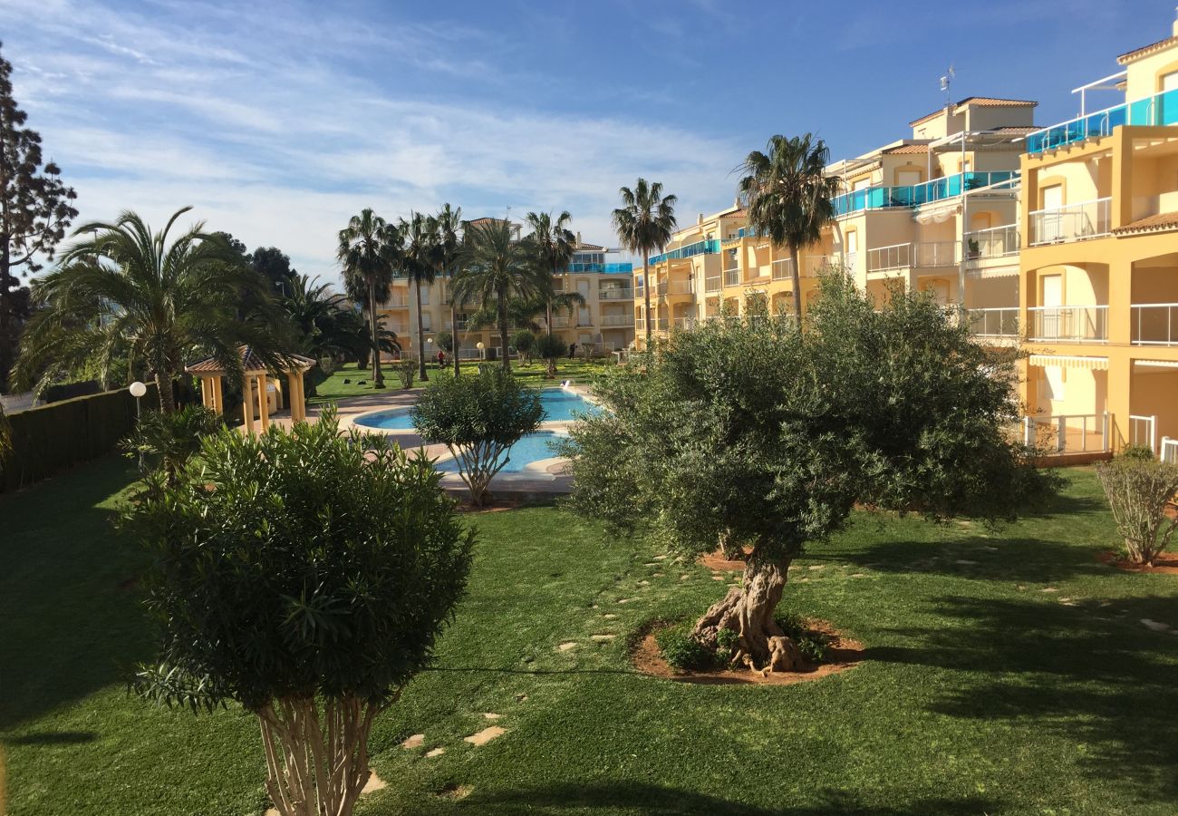 Apartamento en Denia - LA RIVIERA 3-43(b-s)