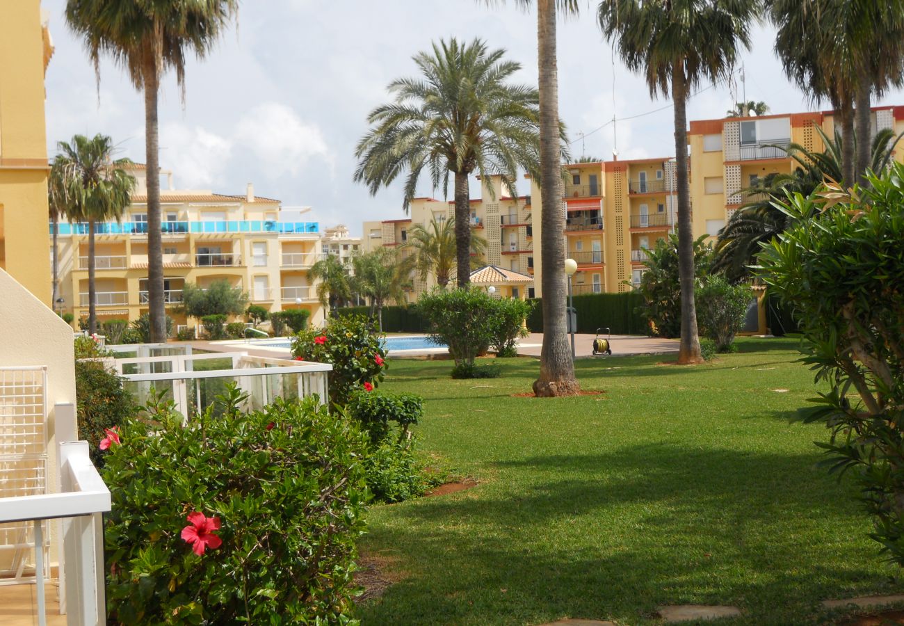 Apartamento en Denia - LA RIVIERA 3-43(b-s)