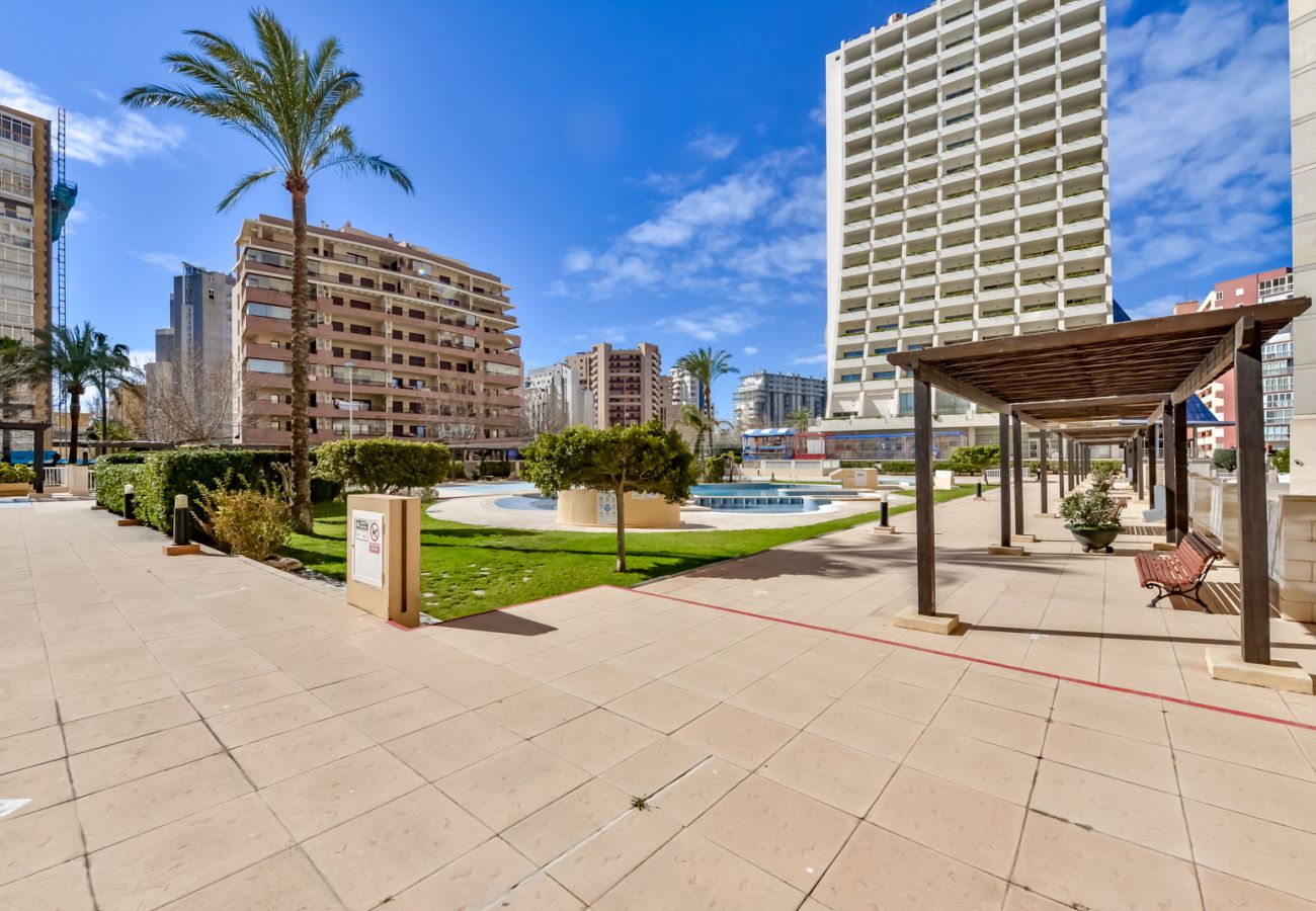 Apartamento en Calpe - AT224 APOLO16 1D