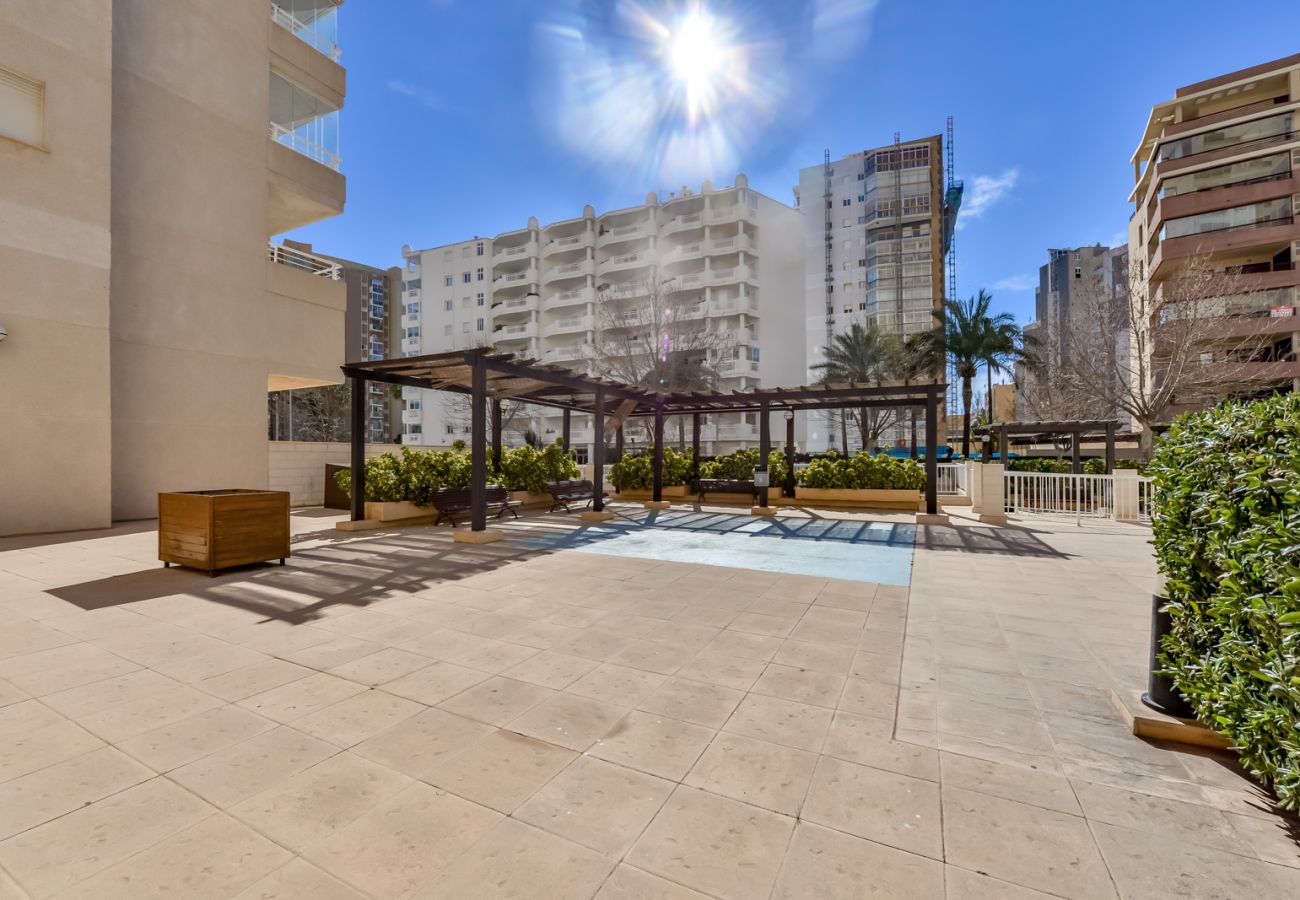 Apartamento en Calpe - AT224 APOLO16 1D