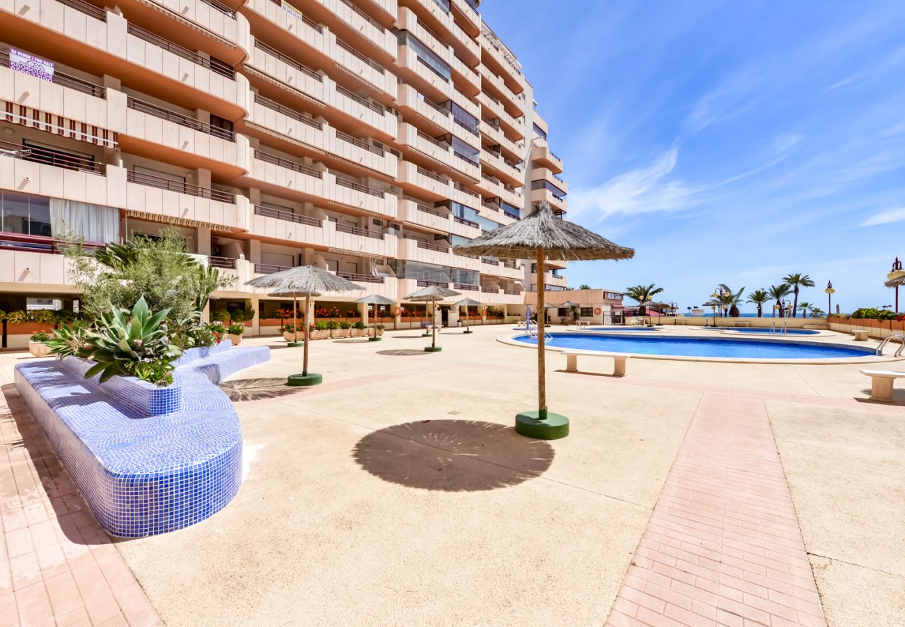 Apartamento en Calpe - AT219 ZAFIRO 312C