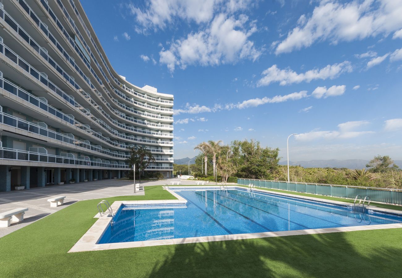 Apartamento en Playa de Gandía - 42. AG AIGUABLAVA 8-7