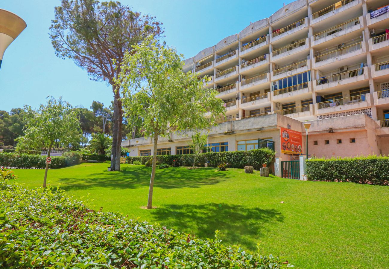 Apartamento en Salou - CATALUNYA DONNA