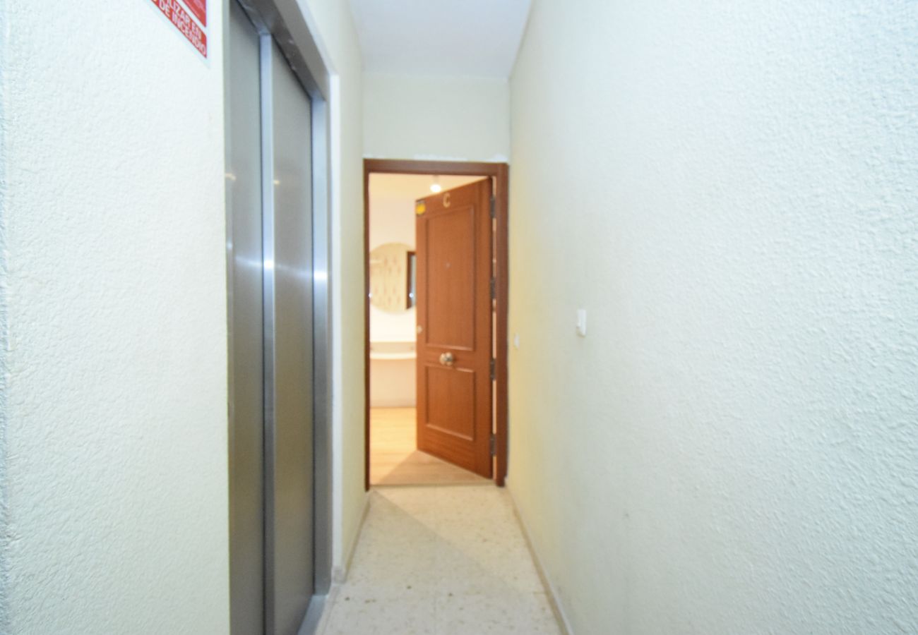 Apartamento en Benidorm - LUX CENTER 2C