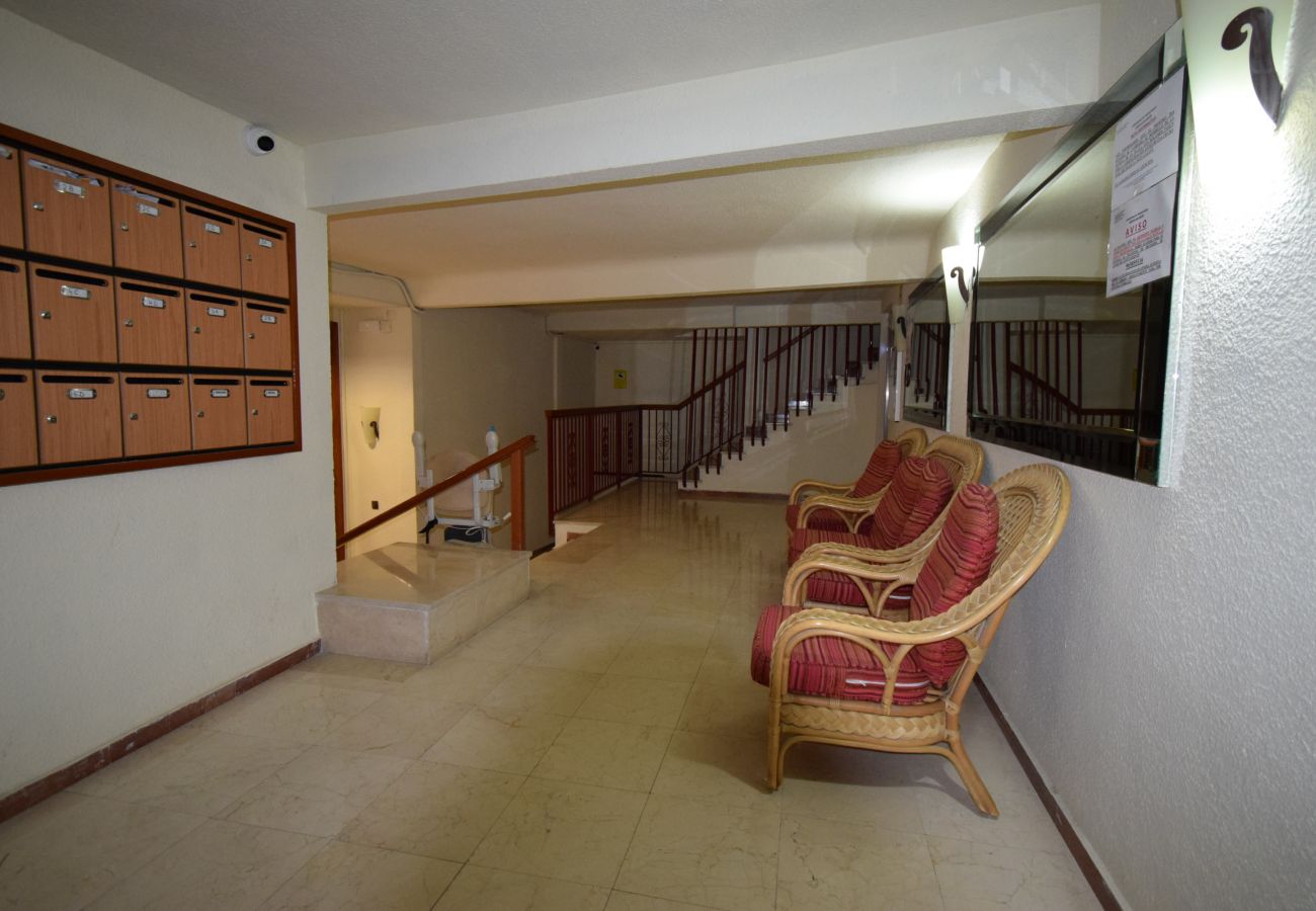 Apartamento en Benidorm - LUX CENTER 2C