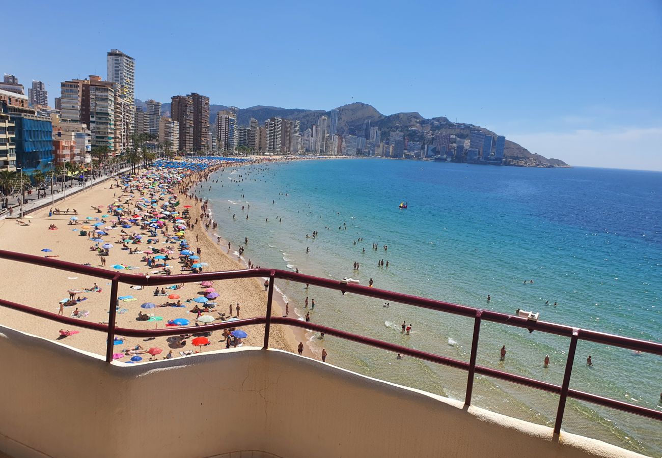 Apartamento en Benidorm - LUX CENTER 2C