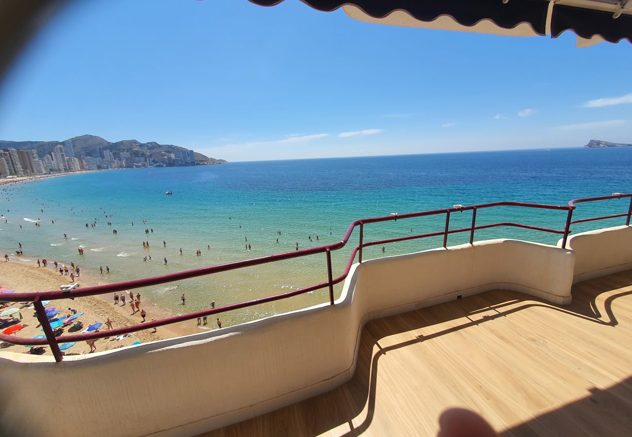 Apartamento en Benidorm - LUX CENTER 2C