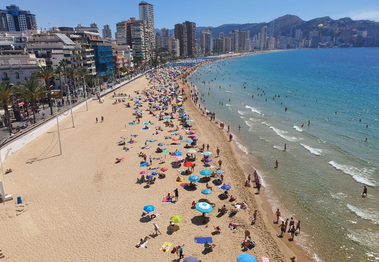 Apartamento en Benidorm - LUX CENTER 2C