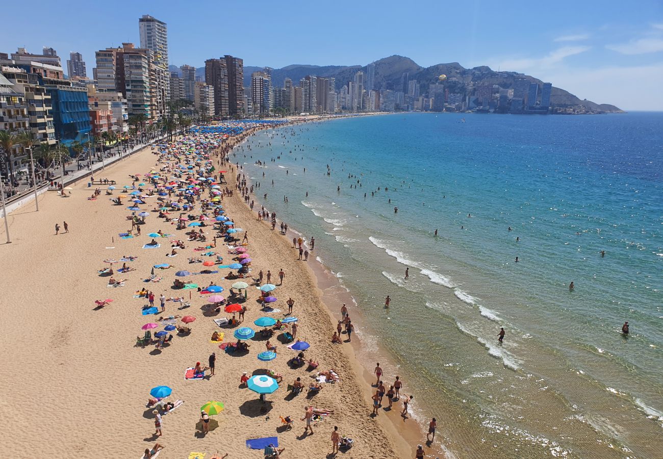 Apartamento en Benidorm - LUX CENTER 2C