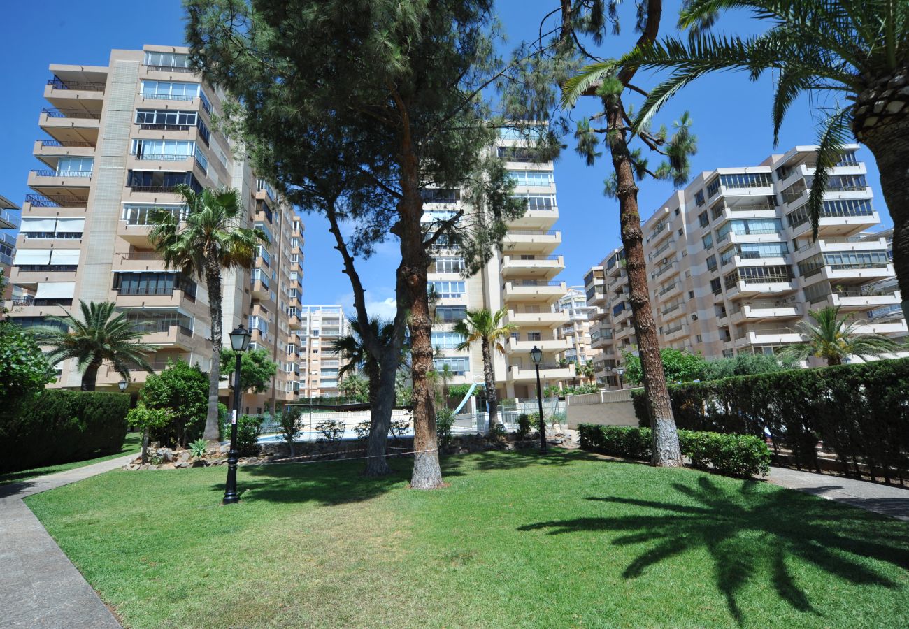 Apartamento en Benicàssim - MADEIRA 3-1-D