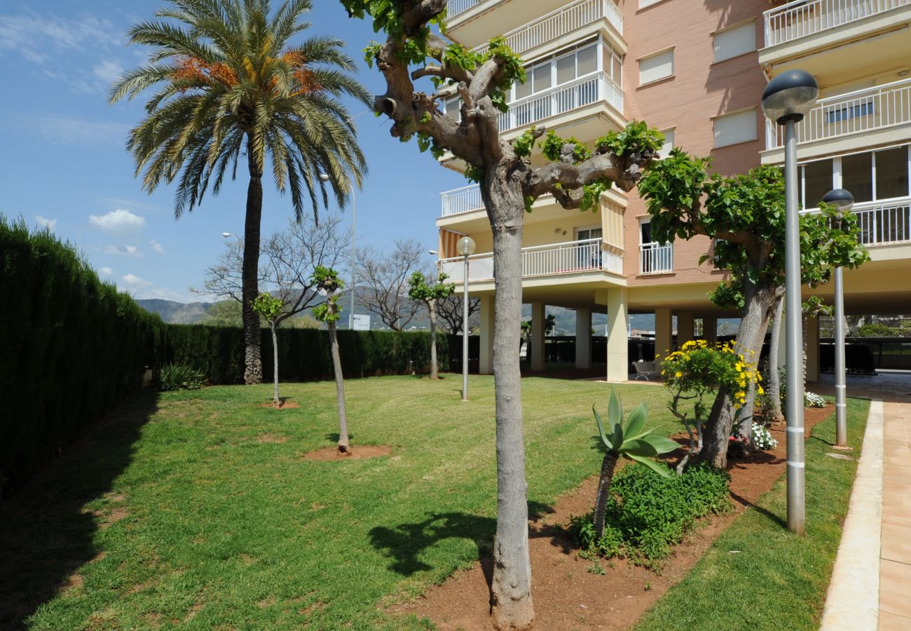 Apartamento en Benicàssim - PLAYASOL 2-8-C