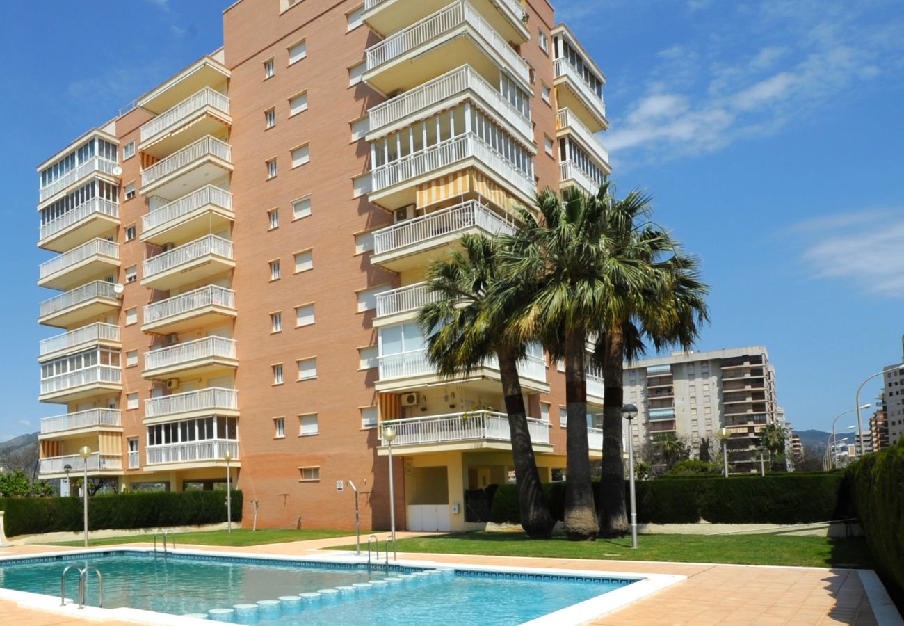 Apartamento en Benicàssim - PLAYASOL 2-8-C