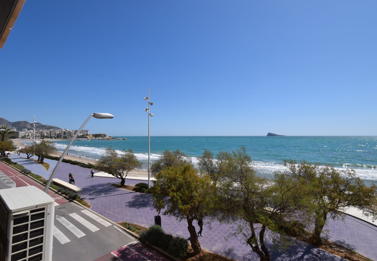 Apartamento en Benidorm - BENIBEACH   3-1B