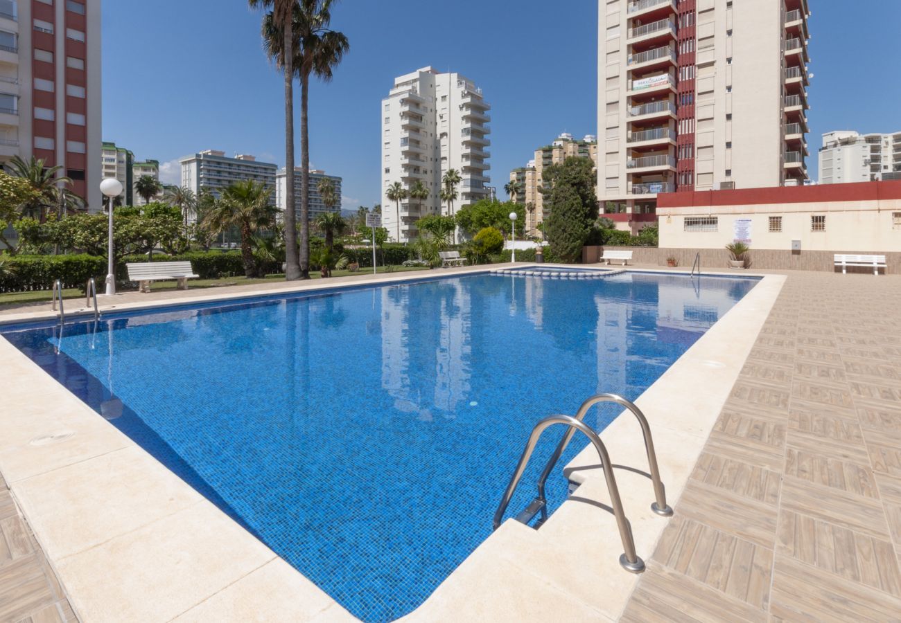 Apartamento en Playa de Gandía - 51. AG AQUARIUM 10