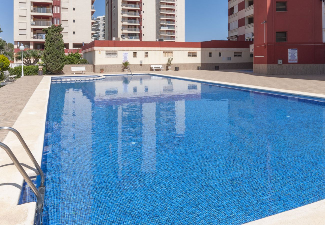 Apartamento en Playa de Gandía - 51. AG AQUARIUM 10