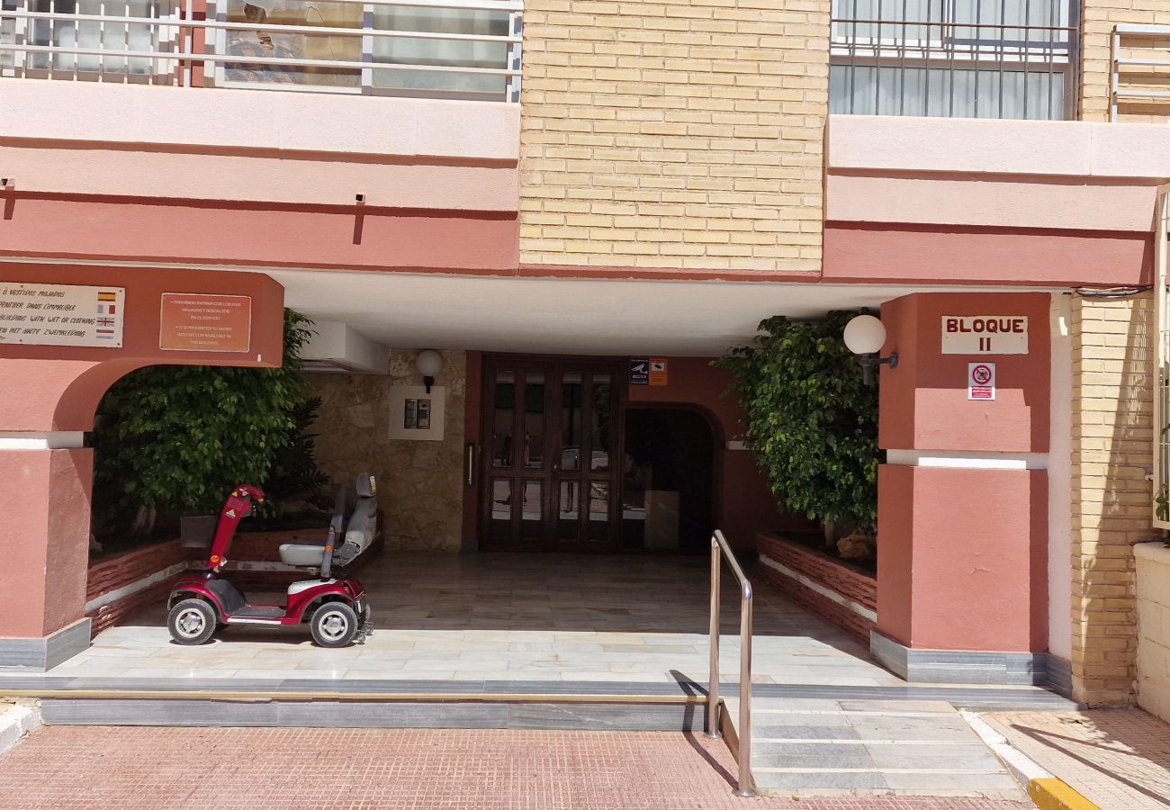 Apartamento en Benidorm - LIDERSOL 11F2